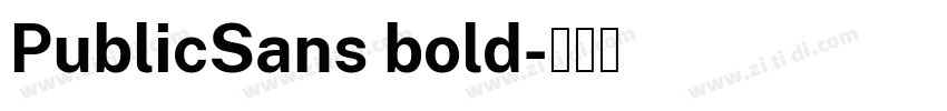 PublicSans bold字体转换